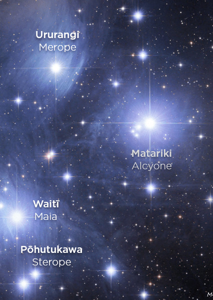 De Matariki sterren. Robert Gendler, CC BY-SA 4.0 <https://creativecommons.org/licenses/by-sa/4.0>, via Wikimedia Commons