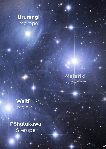 De Matariki sterren. Robert Gendler, CC BY-SA 4.0 <https://creativecommons.org/licenses/by-sa/4.0>, via Wikimedia Commons