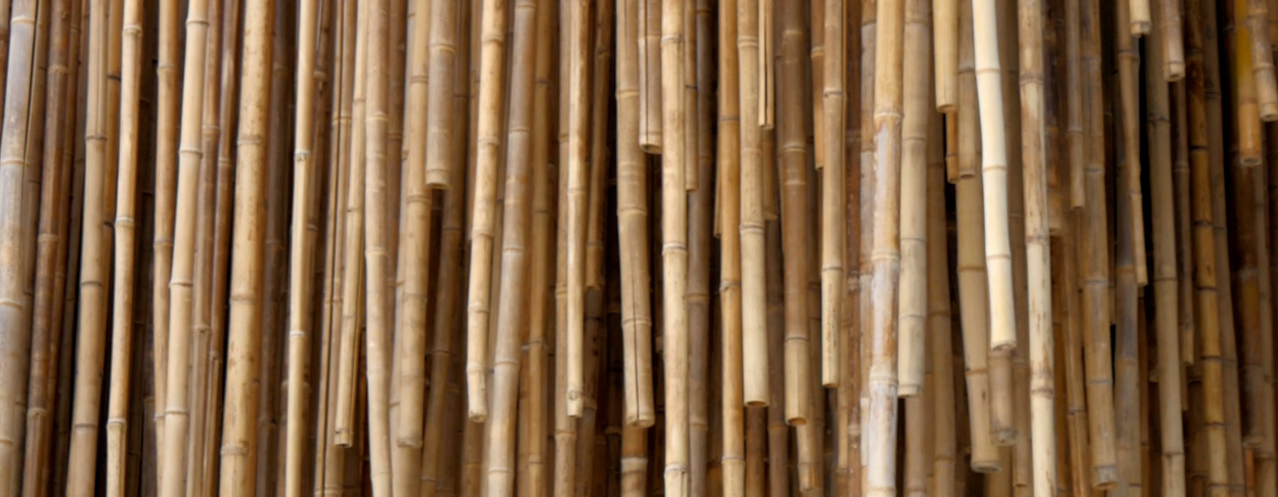 Much to do with bamboo