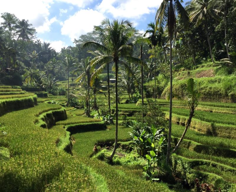 Expo Bali Tropenmuseum Amsterdam