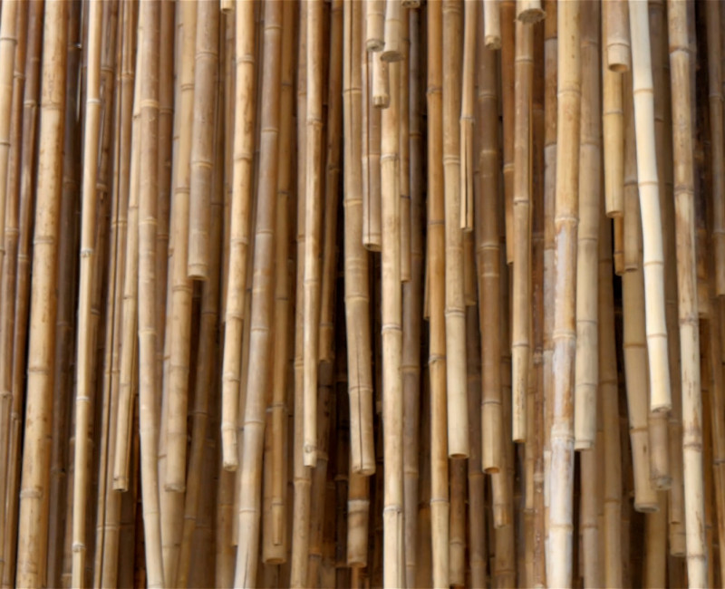 Much to do with bamboo