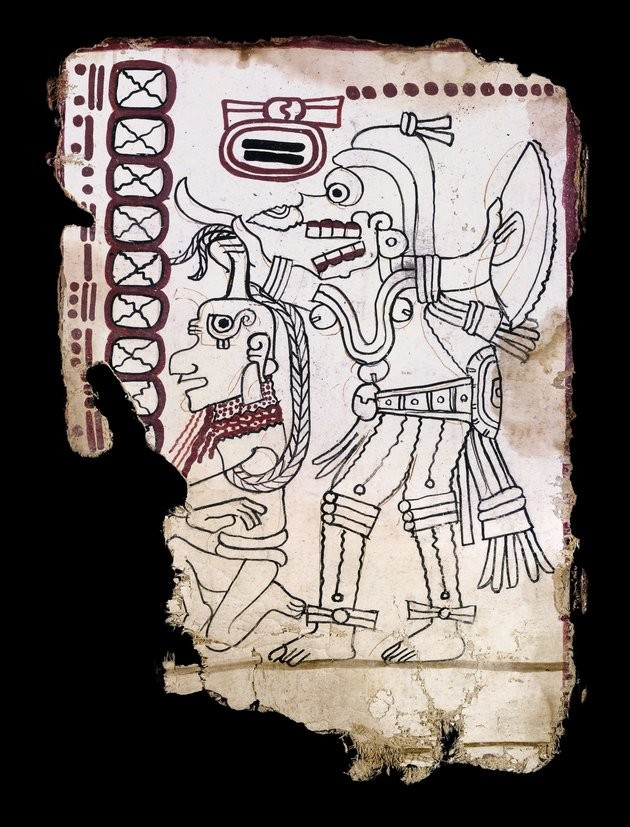 Fragment uit Códice Maya de México