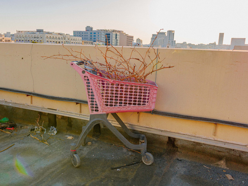 Roots:  A pink shopping cart filled with dried-up tree branches sits on a residential rooftop against the backdrop of Doha's skyline, Qatar, March 28, 2024.
