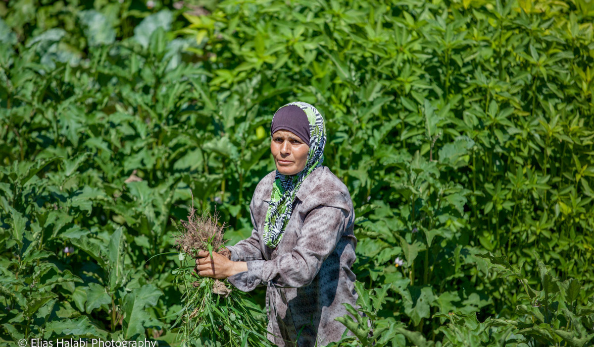 Header afbeelding. Fotograaf: Elias Halabi