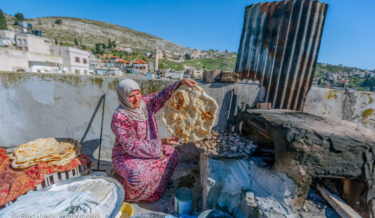 Elias Halabi Collection