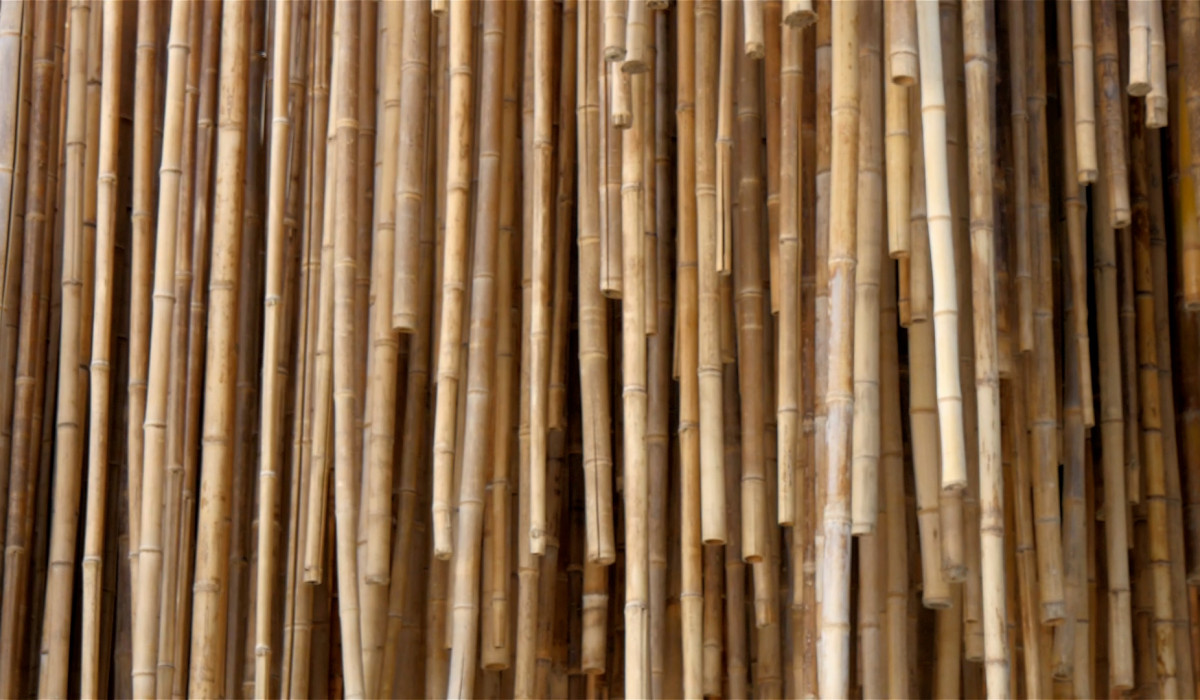 Much to do with bamboo