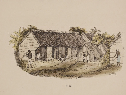De plantagehouder in mijn familie