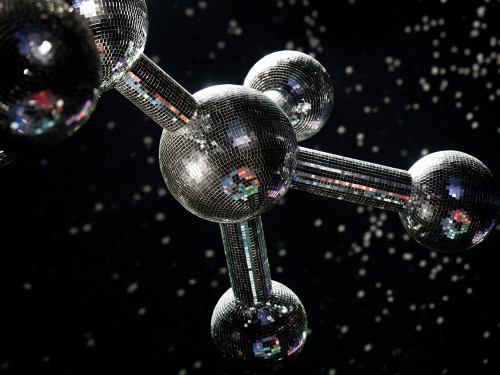 Disco header