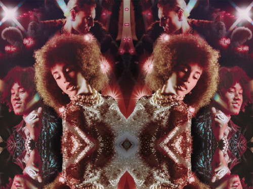 Disco header