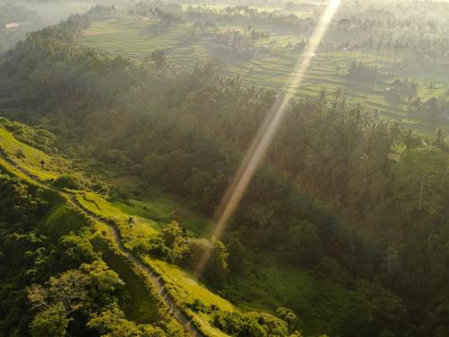 Campuhan Ridge Bali