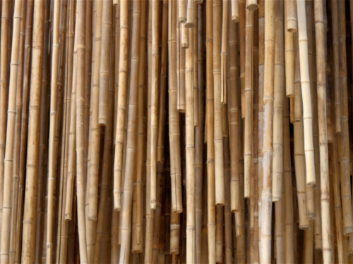 Much to do with bamboo